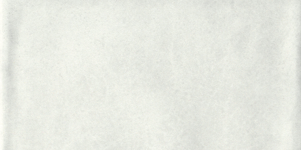 Materia Prima - CLOUD WHITE - Tile Western Pacific Tile