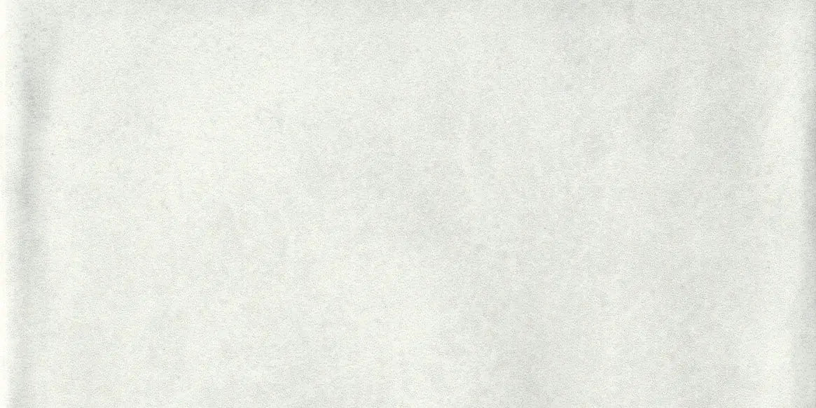 Materia Prima - CLOUD WHITE - Tile Western Pacific Tile