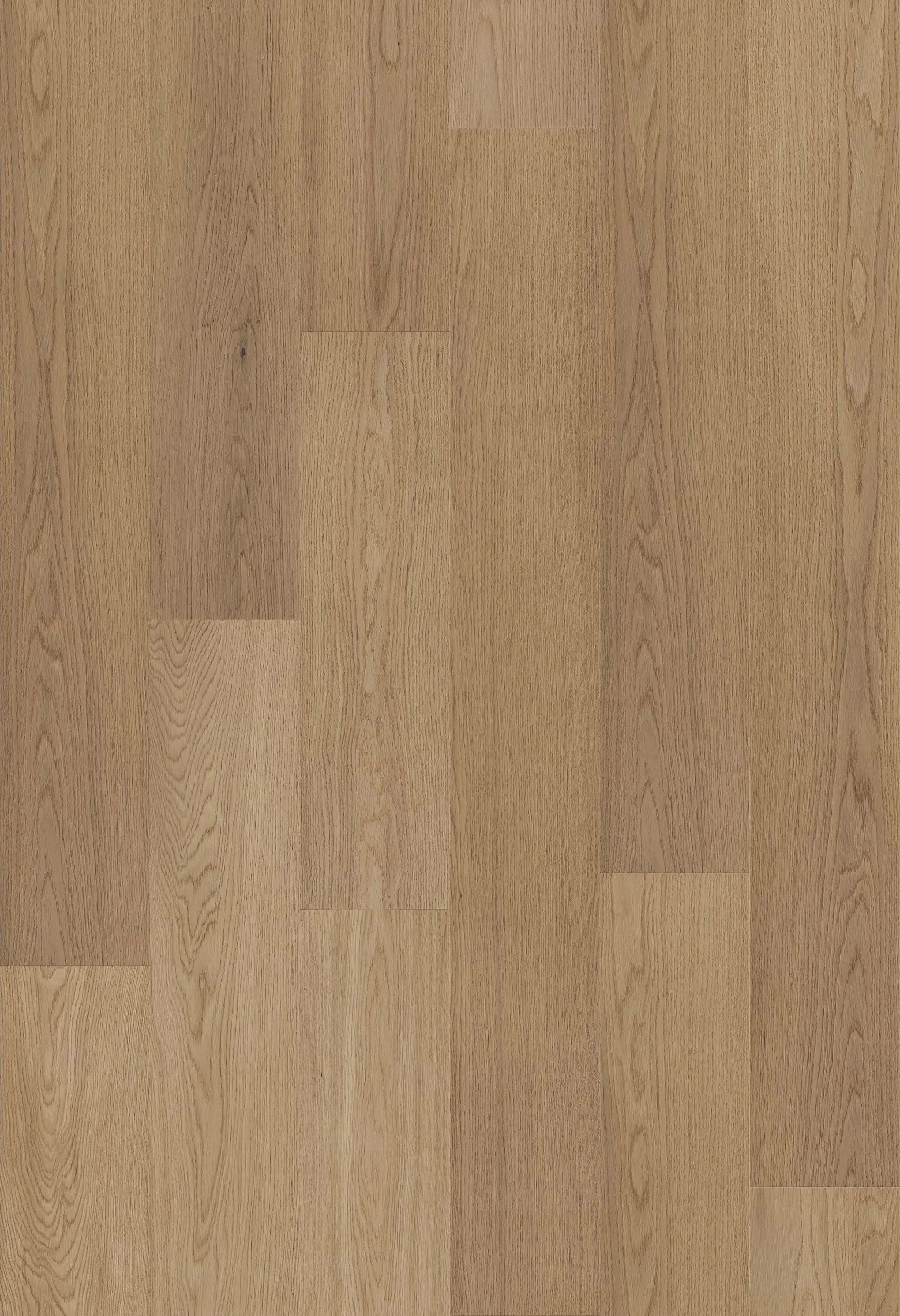 Sierra - Nature-SCO1 - Engineered Hardwood Compass Materials