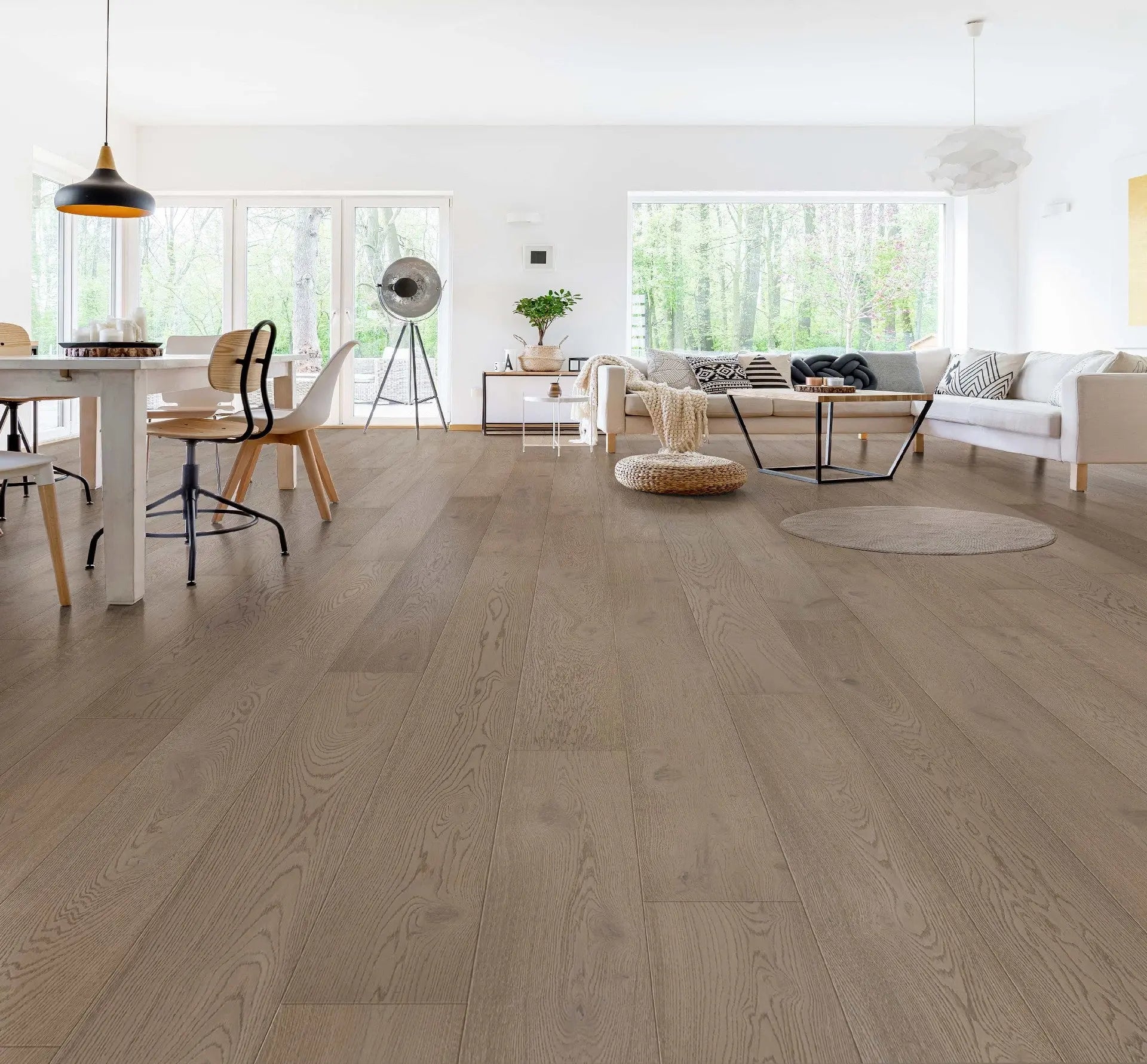 Constellation - Mediterranean-CSO12 - Engineered Hardwood Compass Materials