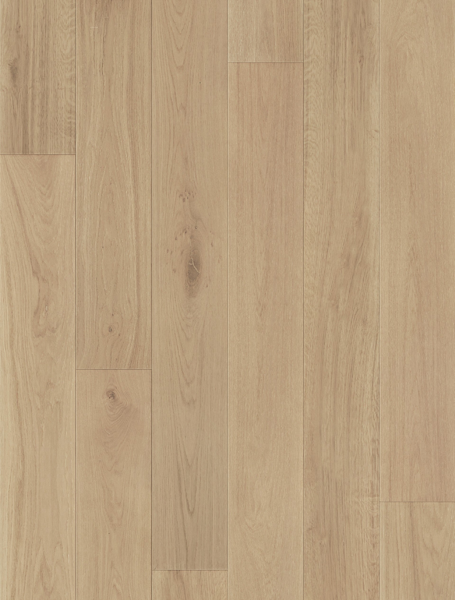 Constellation - Cambria-CSO13 - Engineered Hardwood Compass Materials