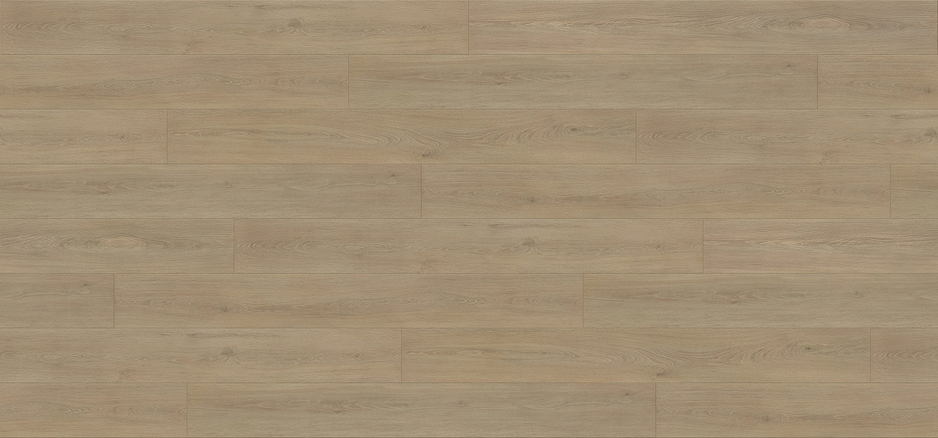 OAK VERSE - Atlas-WPL8 - Laminate Compass Materials