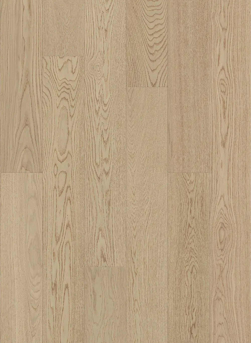 Gold Coast - Safari-GCCO7 - Engineered Hardwood Compass Materials