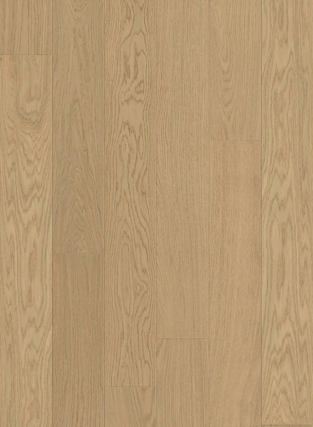 Gold Coast - Coasta-GCCO9 - Engineered Hardwood Compass Materials