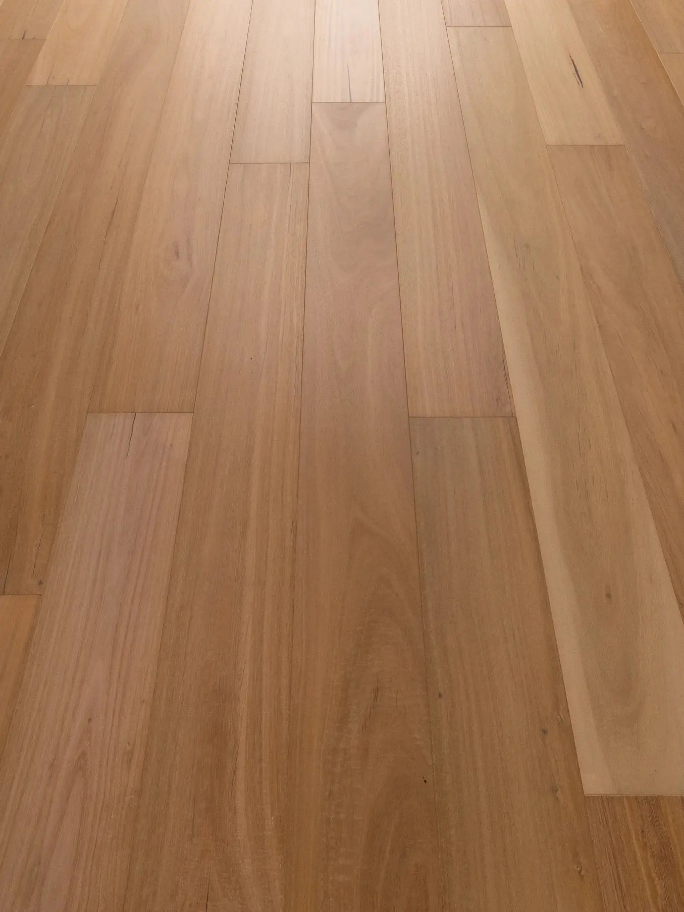 Belleza Collection - Malta - Engineered Hardwood Bentham Plank