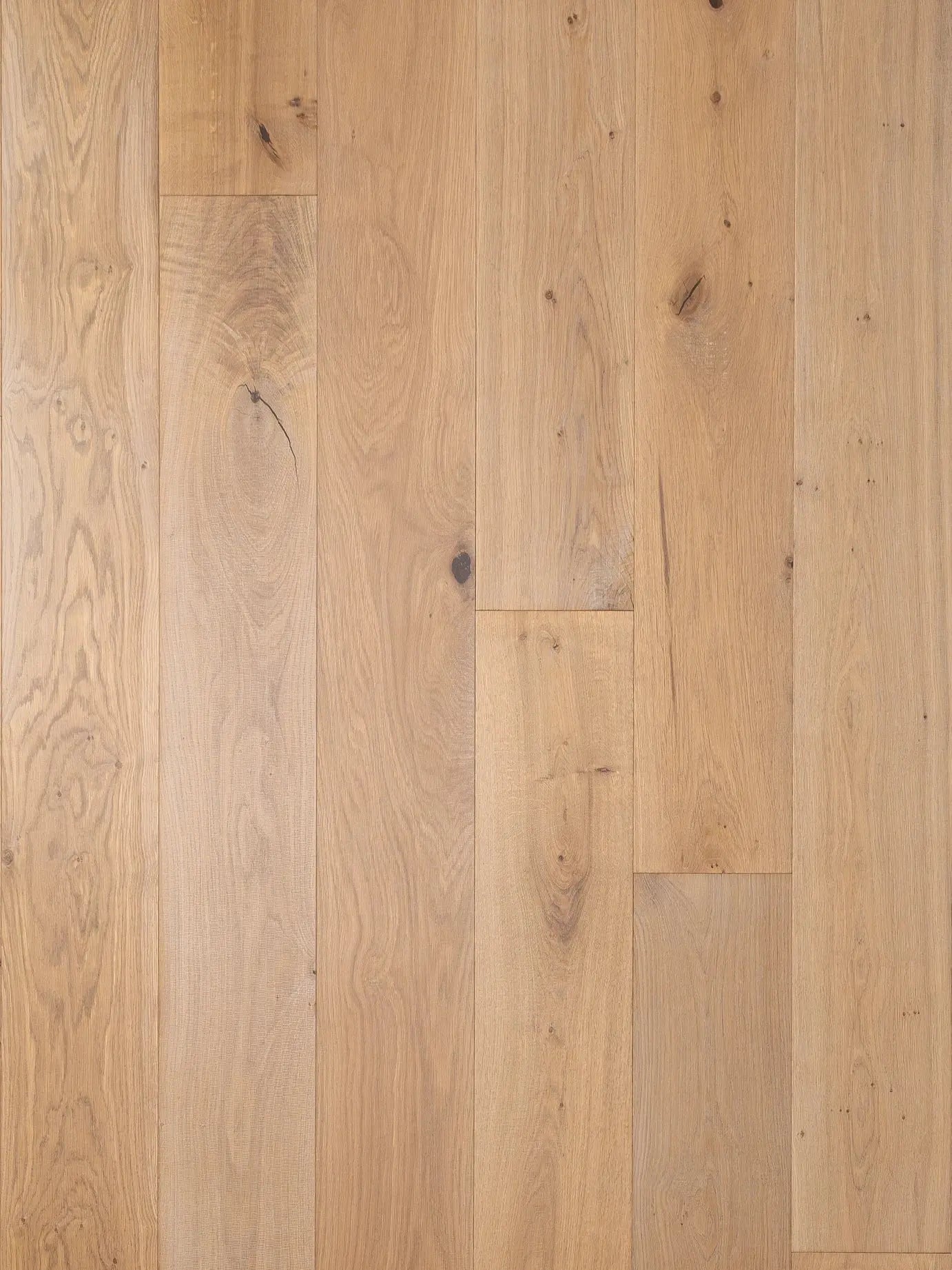 Teatro Collection - Novara - Engineered Hardwood Bentham Plank