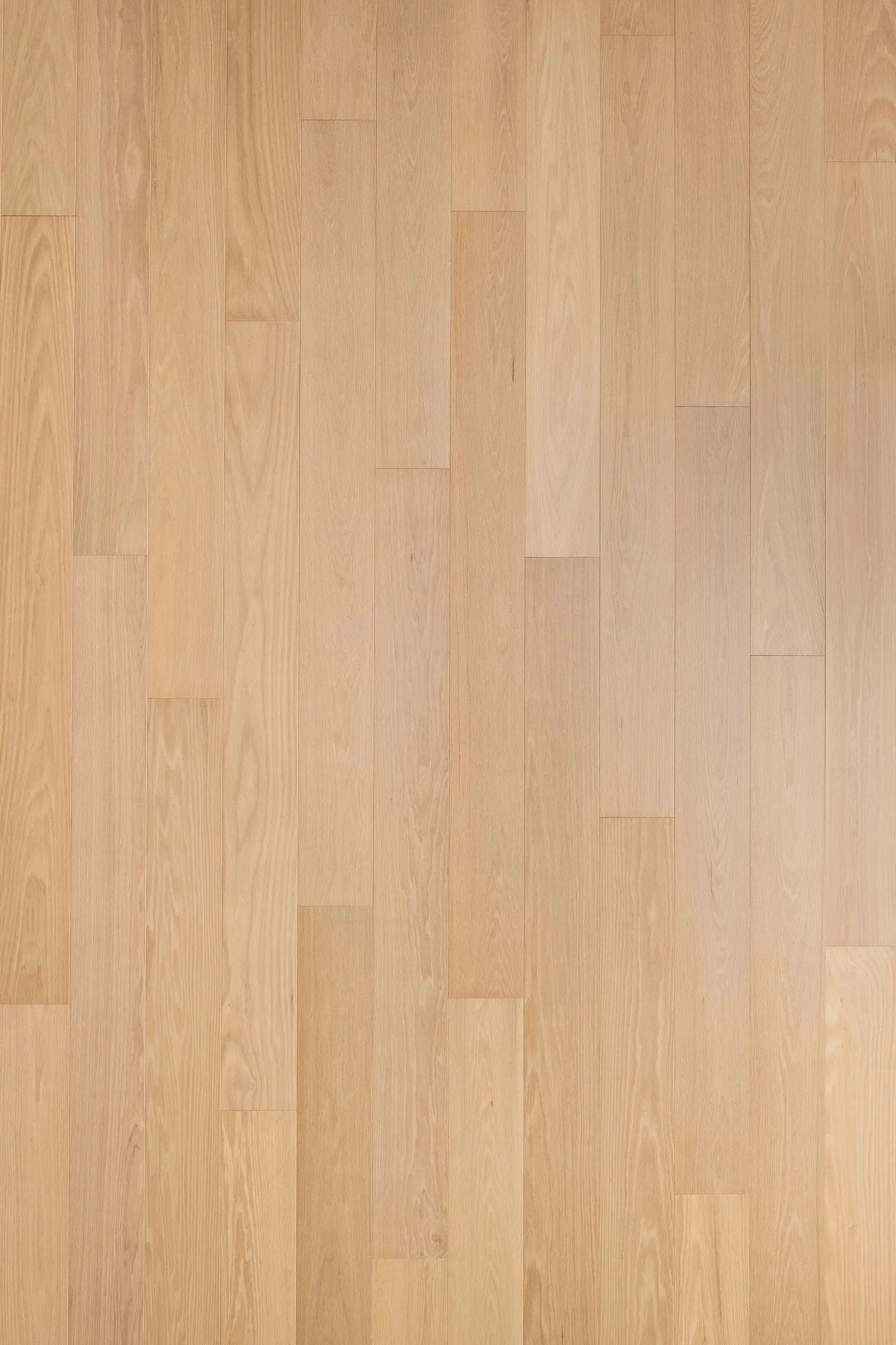 Fontaine Collection - Vespera - Engineered Hardwood Bentham Plank