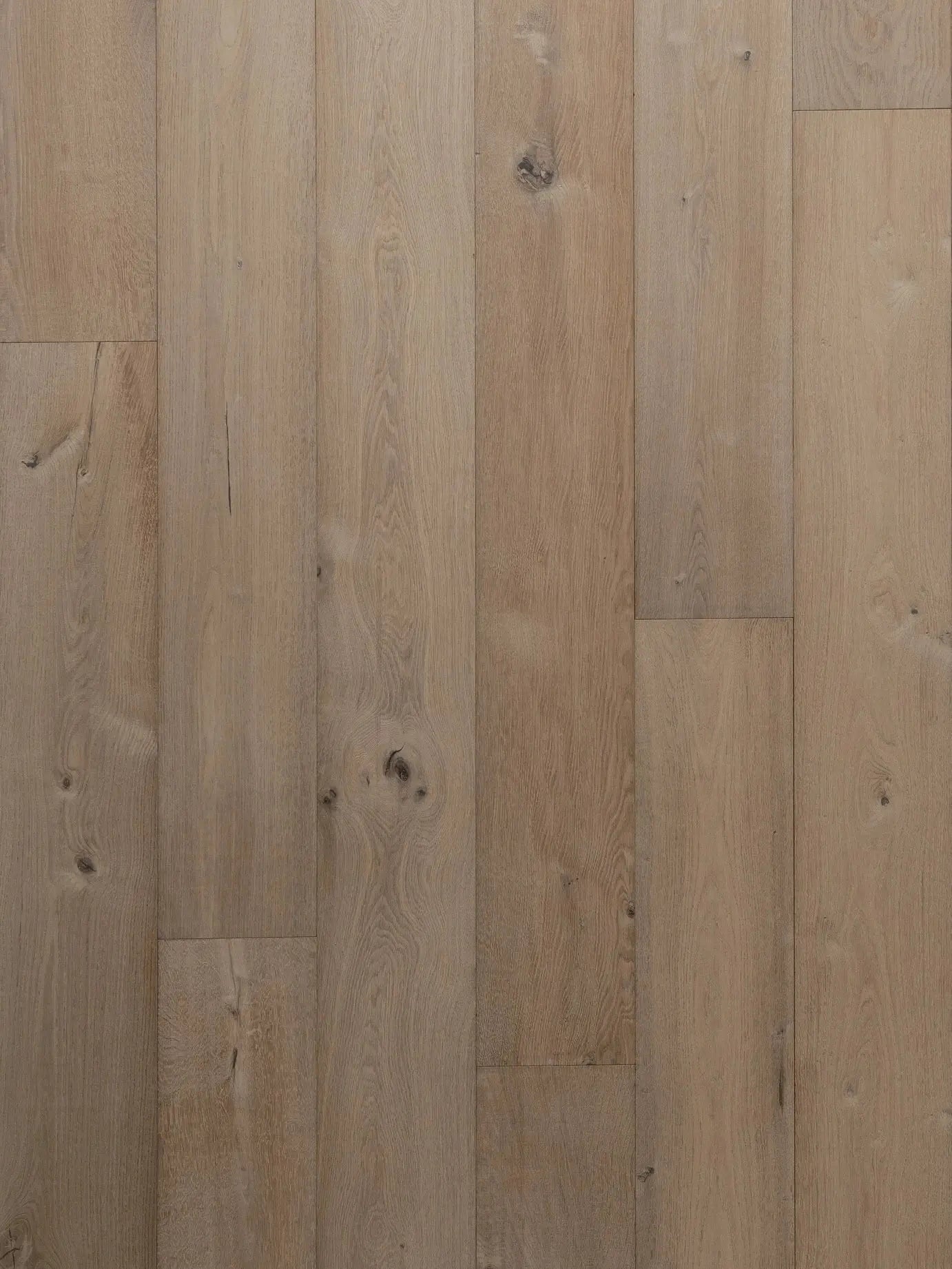 Teatro Collection - Vicenza - Engineered Hardwood Bentham Plank