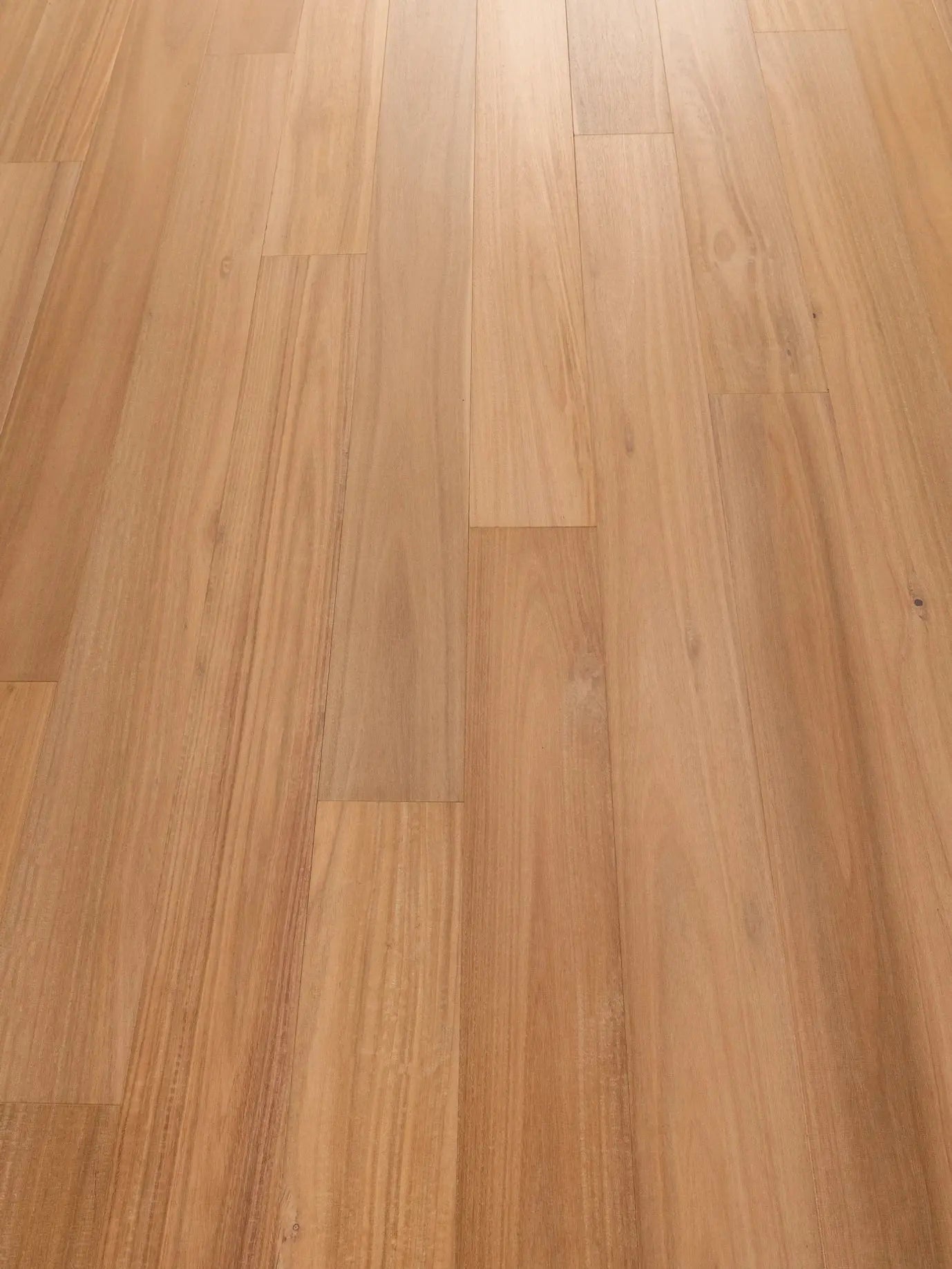 Belleza Collection - Corsica - Engineered Hardwood Bentham Plank