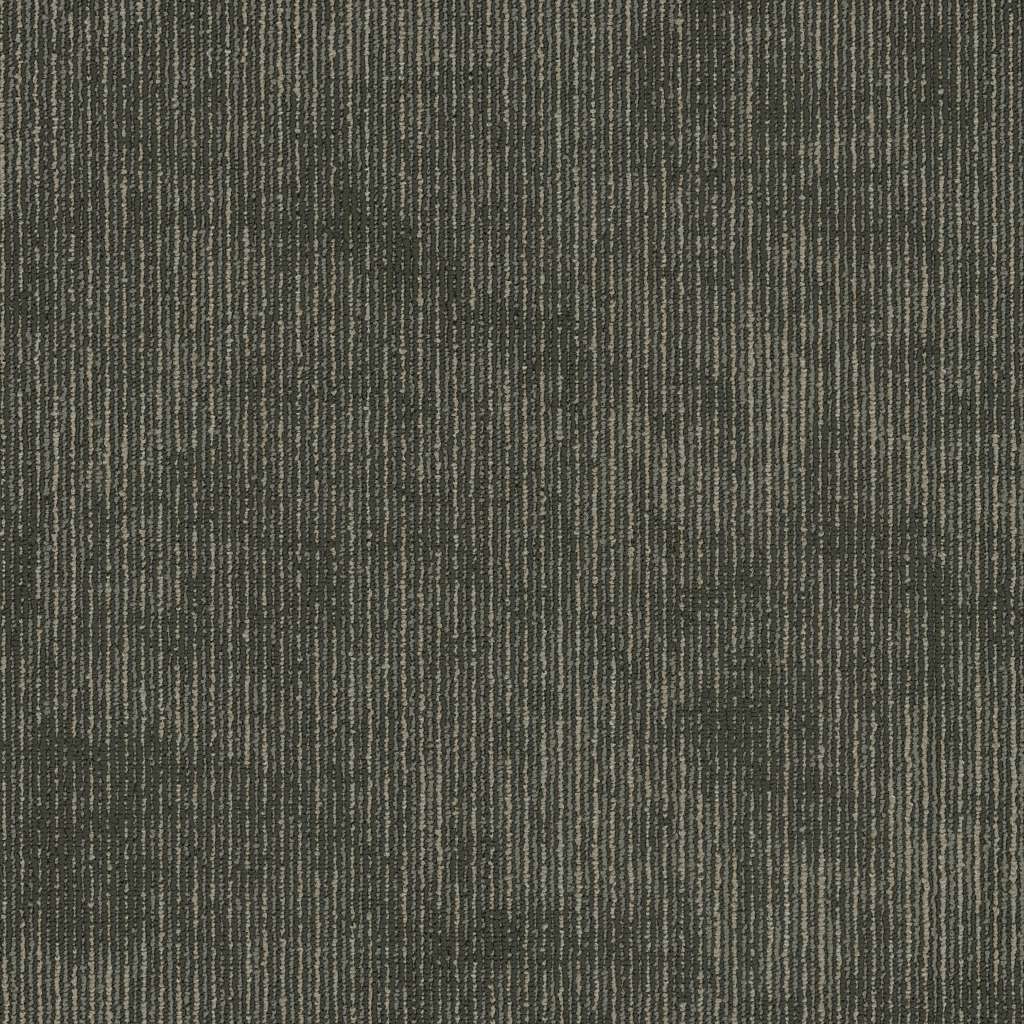 Biotic - Composition - Carpet Tile 5th & Main