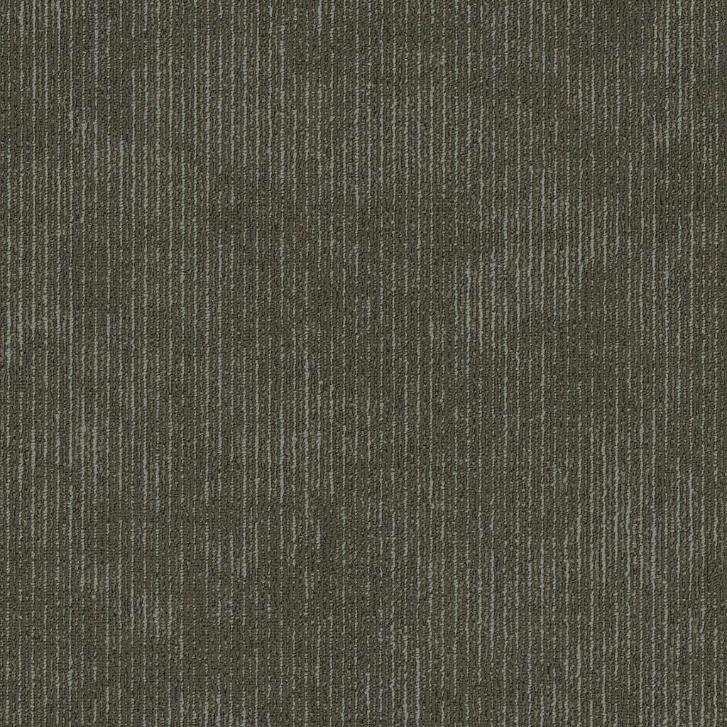 Biotic - Inherent - Carpet Tile 5th & Main