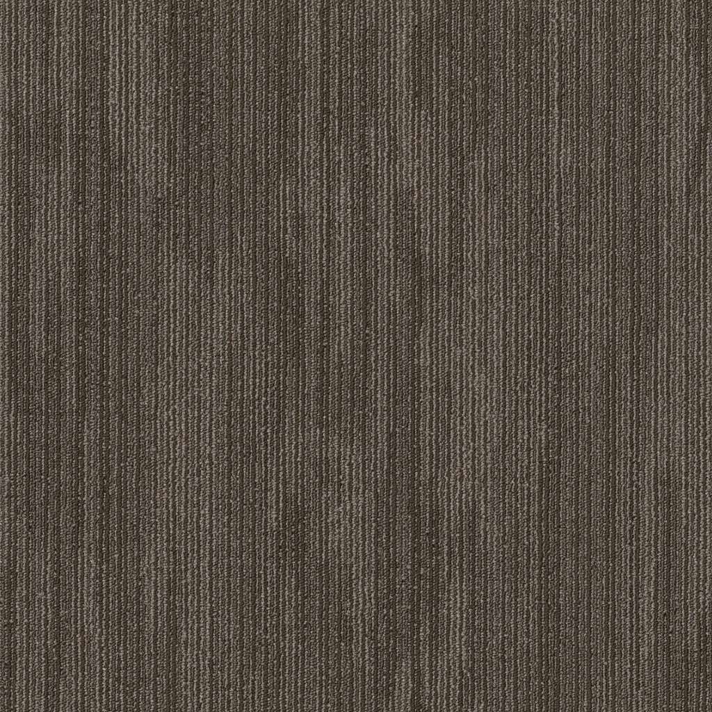 PRIMAL - Indigenous - Carpet Tile Shaw Floors