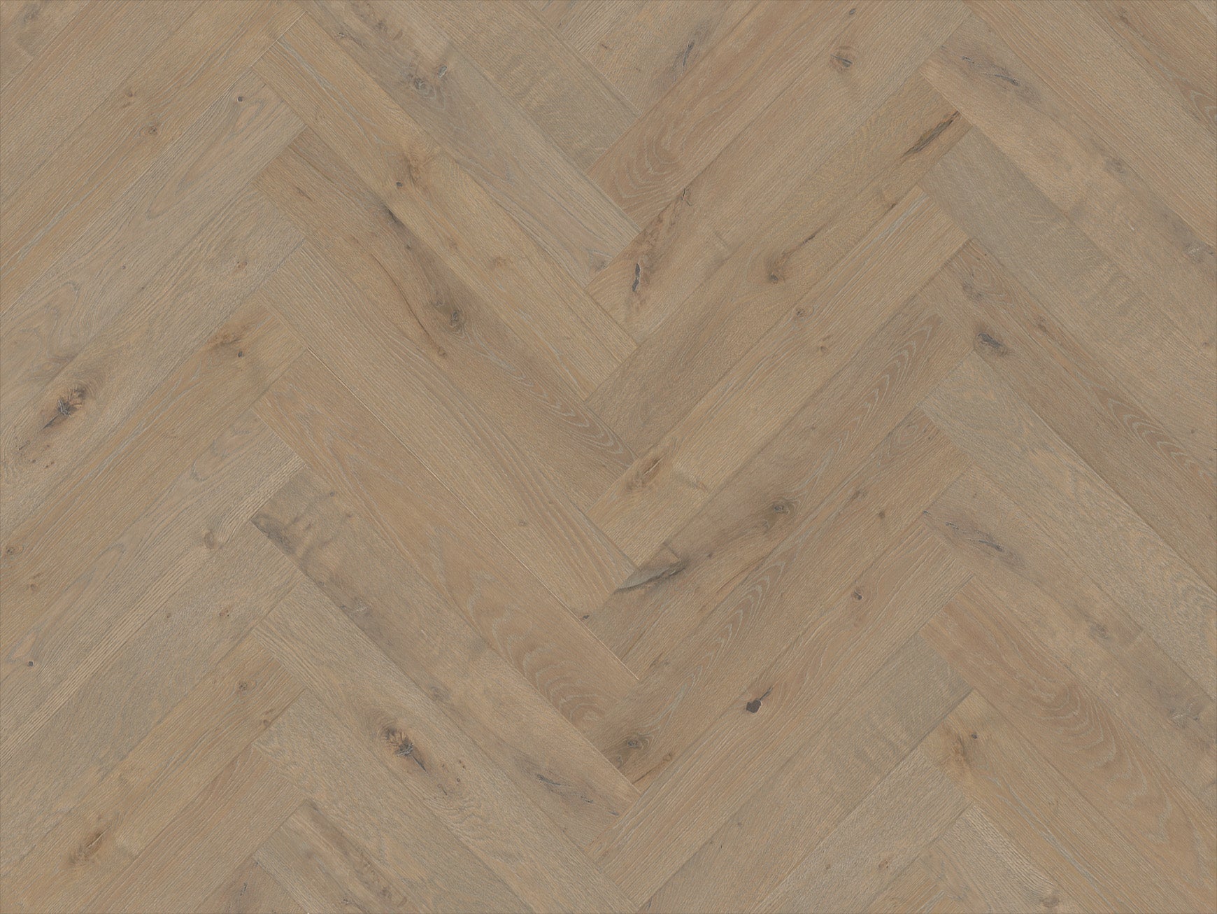Lago - Ampola - Engineered Hardwood