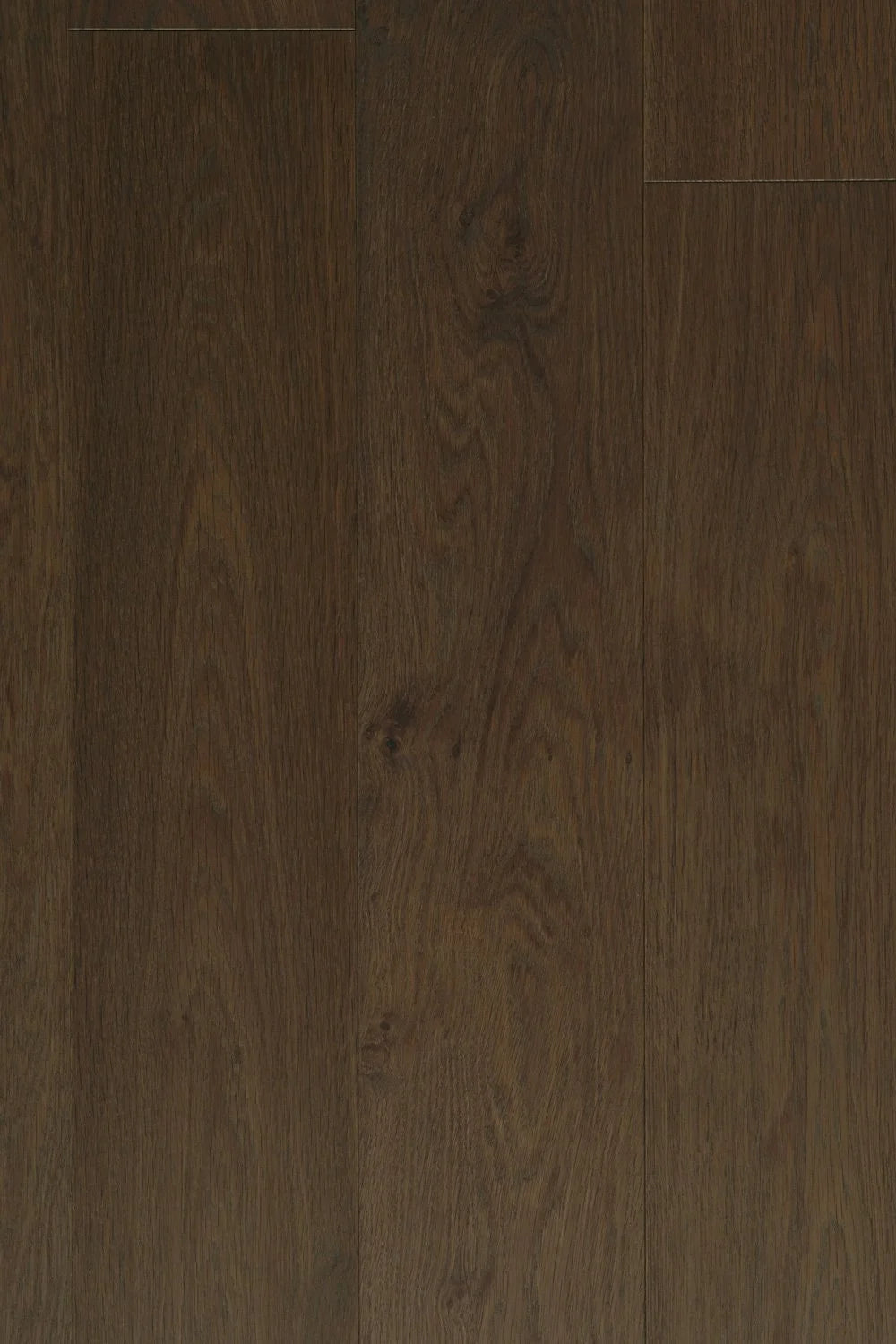 Abruzzo European Oak - Andia - Engineered Hardwood