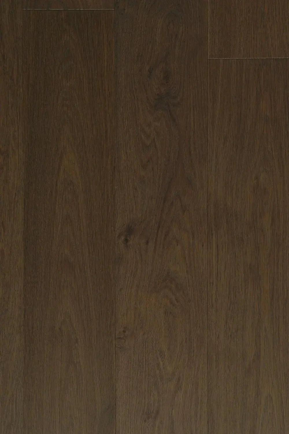 Abruzzo European Oak - Andia - Engineered Hardwood Villagio Floors