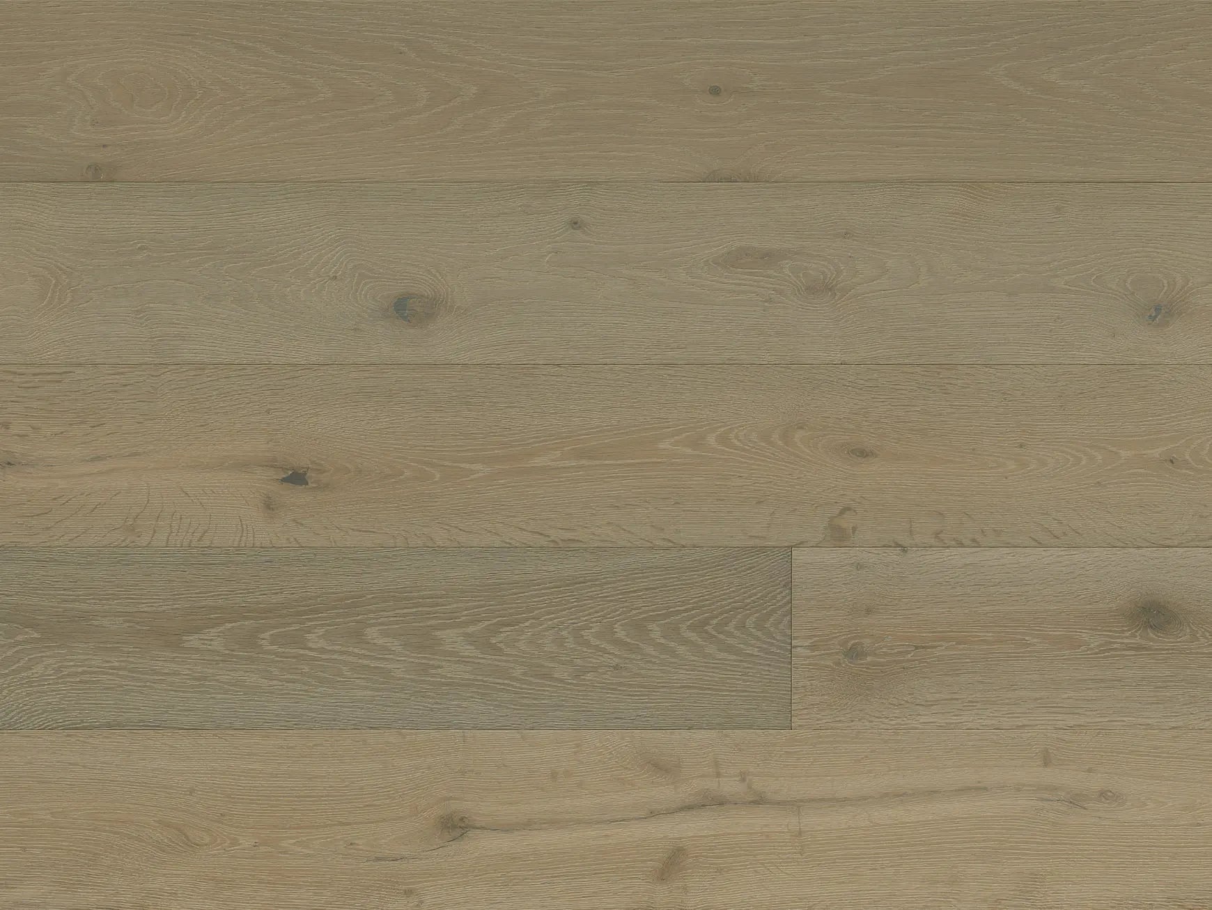 Tableau - Bazille- Engineered Hardwood Monarch Plank Hardwood Flooring