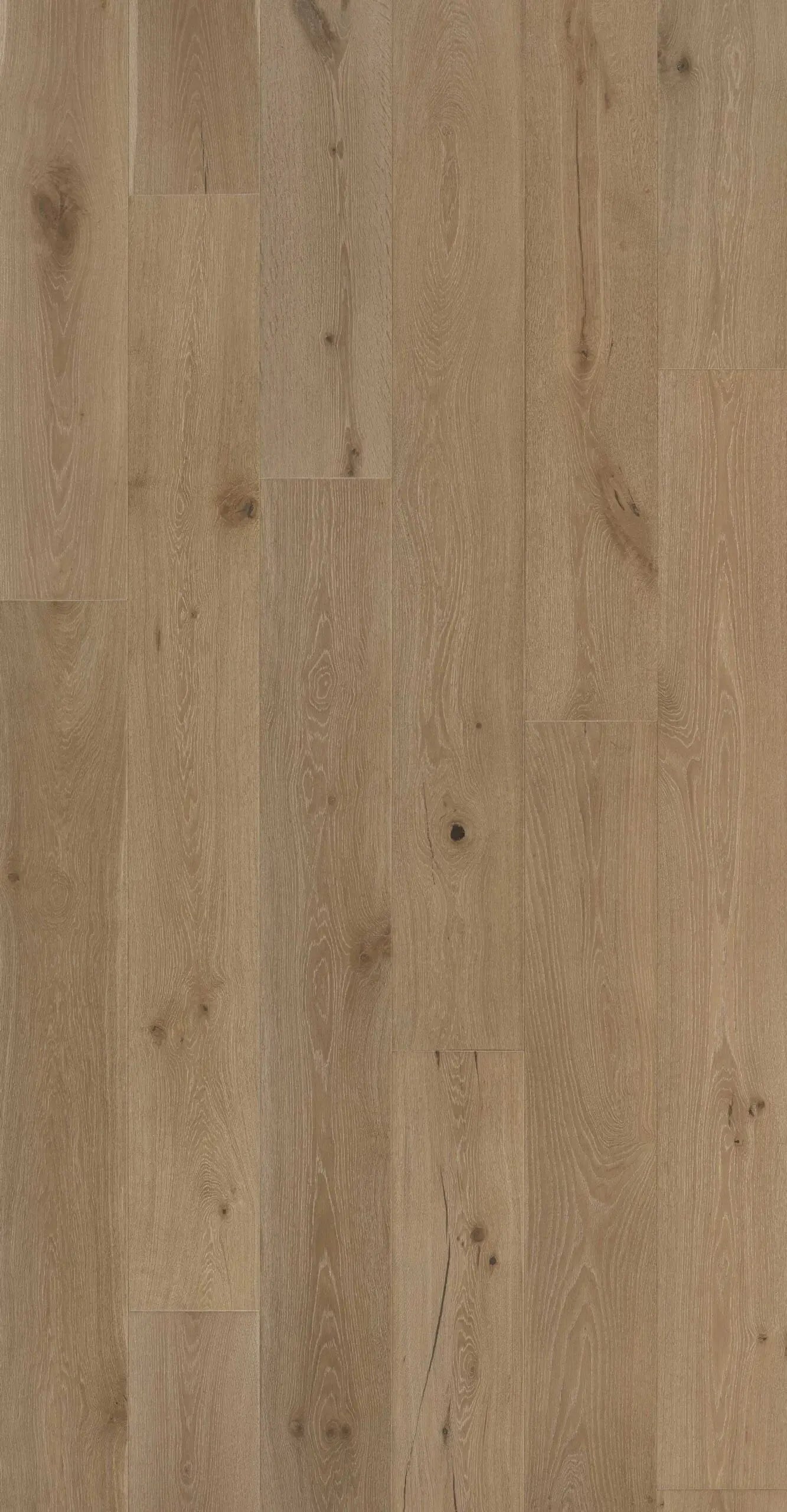 Azur Grande Collection-Belcampo-Engineered Hardwood