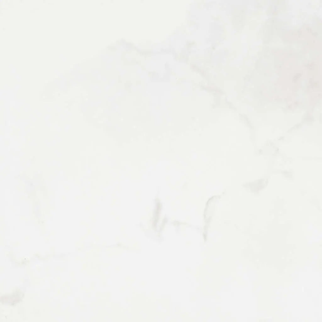 MAXIMUS 18x18 - Tile Shaw Floors