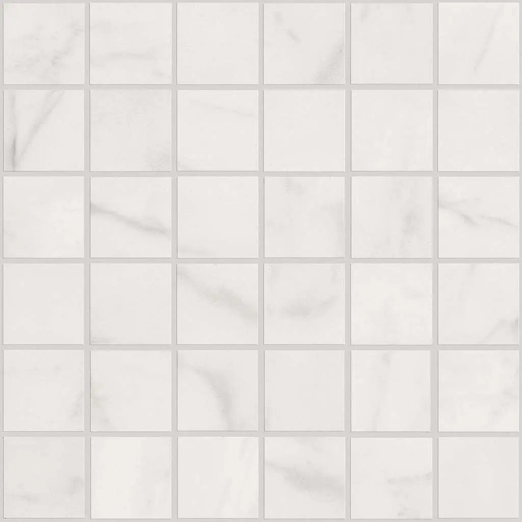 MAXIMUS MOSAIC - Tile Shaw Floors