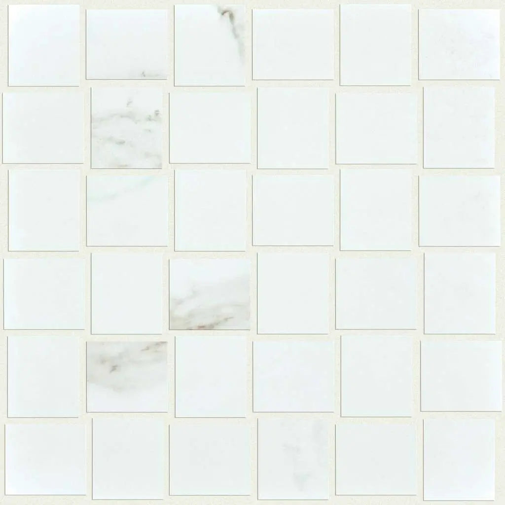 RANGE MOSAIC POLISHED - Tile Shaw Floors