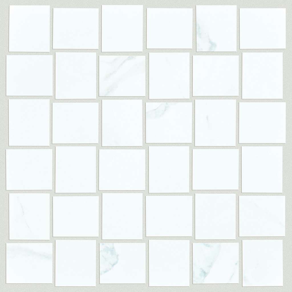 RANGE MOSAIC POLISHED - Tile Shaw Floors