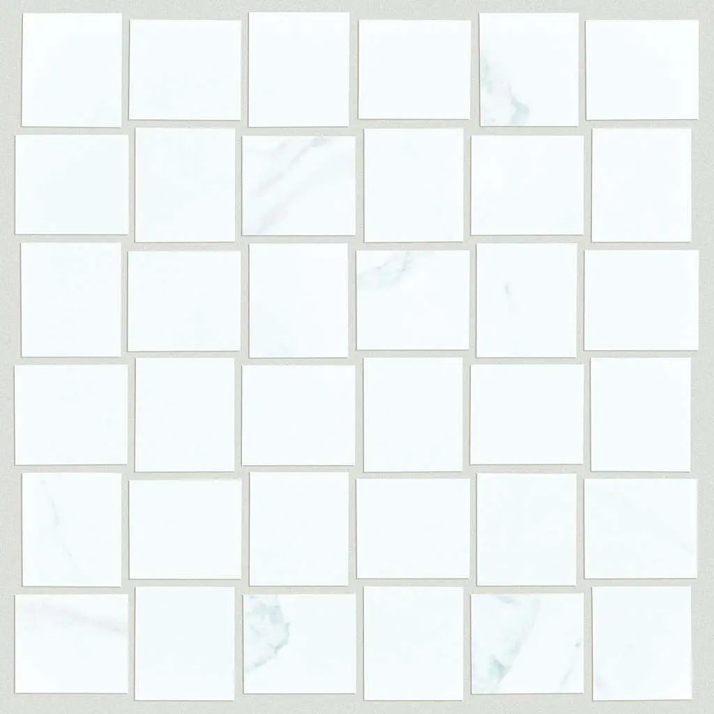RANGE MOSAIC POLISHED - Tile Shaw Floors