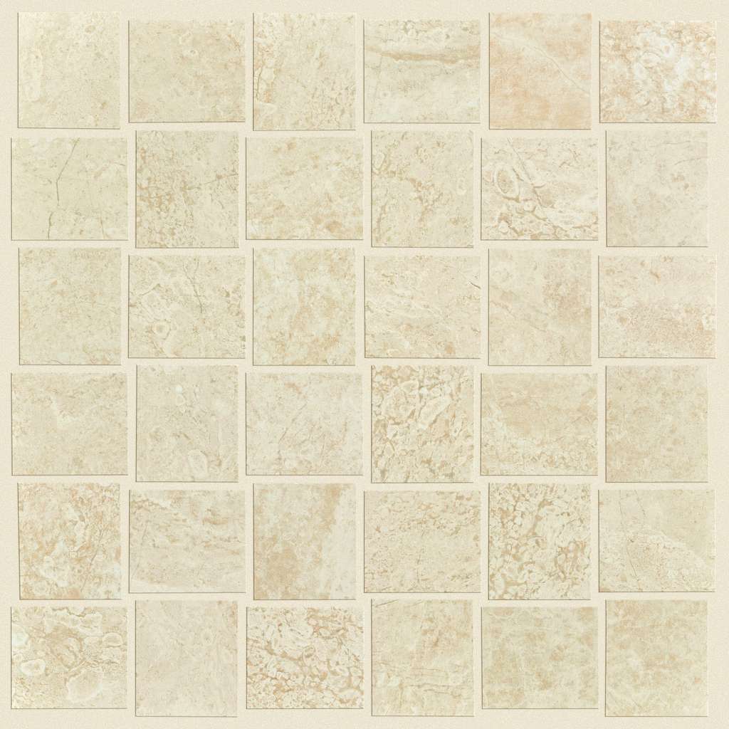 RANGE MOSAIC POLISHED - Tile Shaw Floors