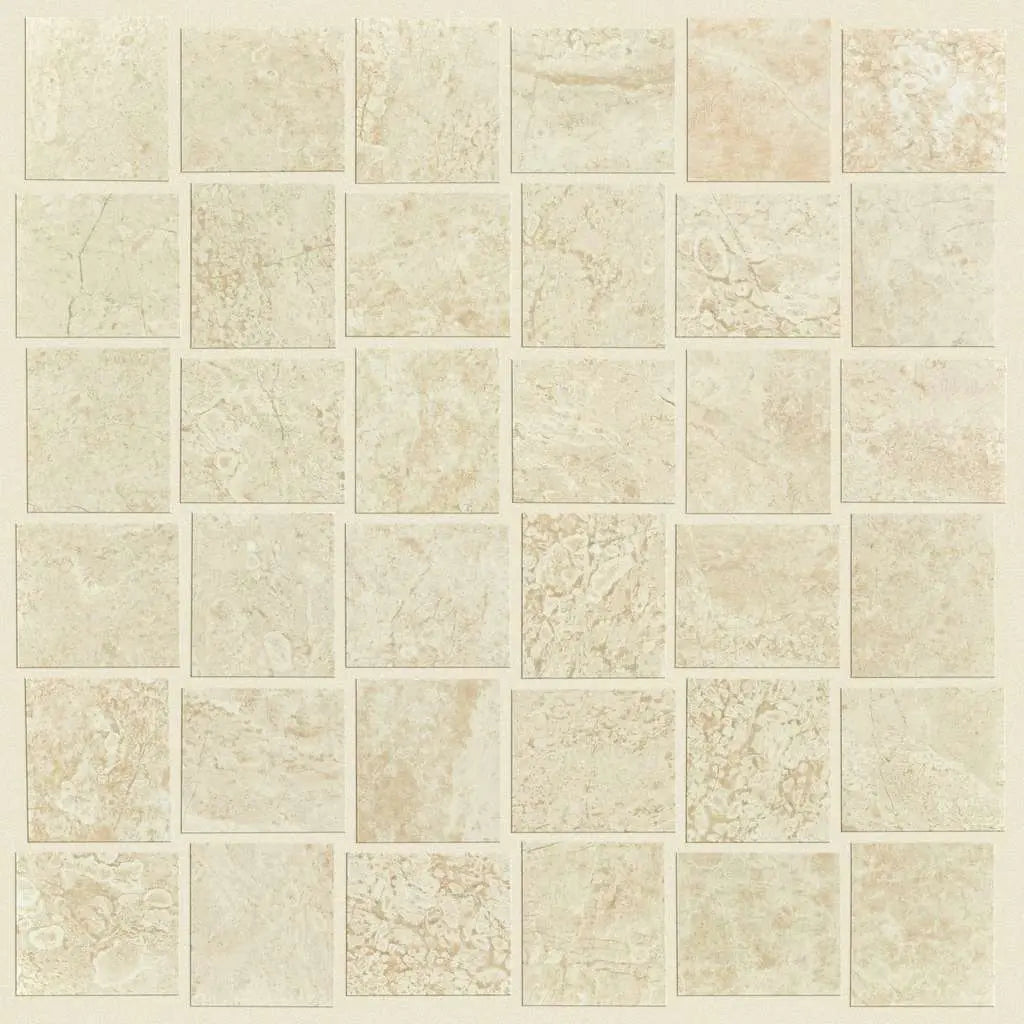 RANGE MOSAIC POLISHED - Tile Shaw Floors