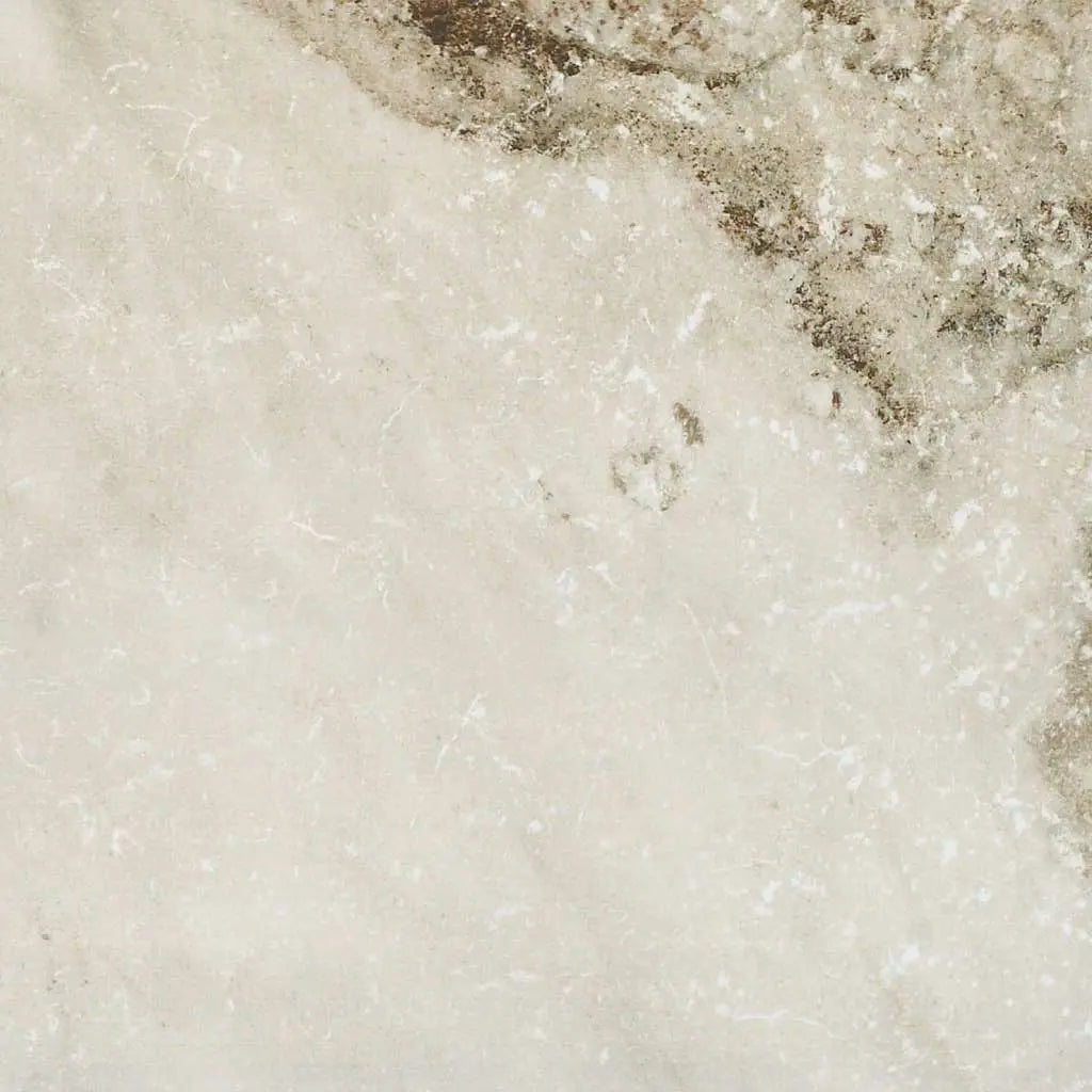 SENATE 13X13 - Tile Shaw Floors