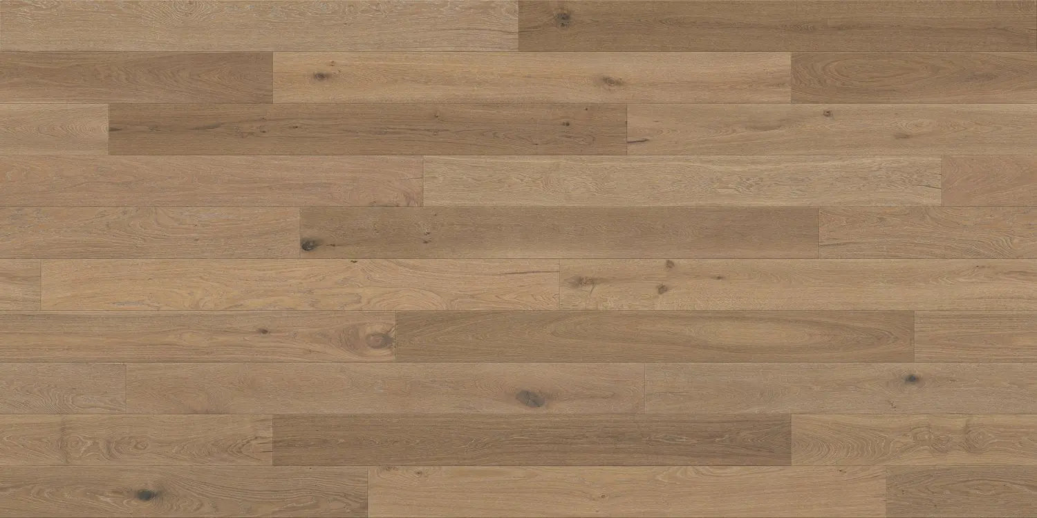 Provence - Cavillon - Engineered Hardwood