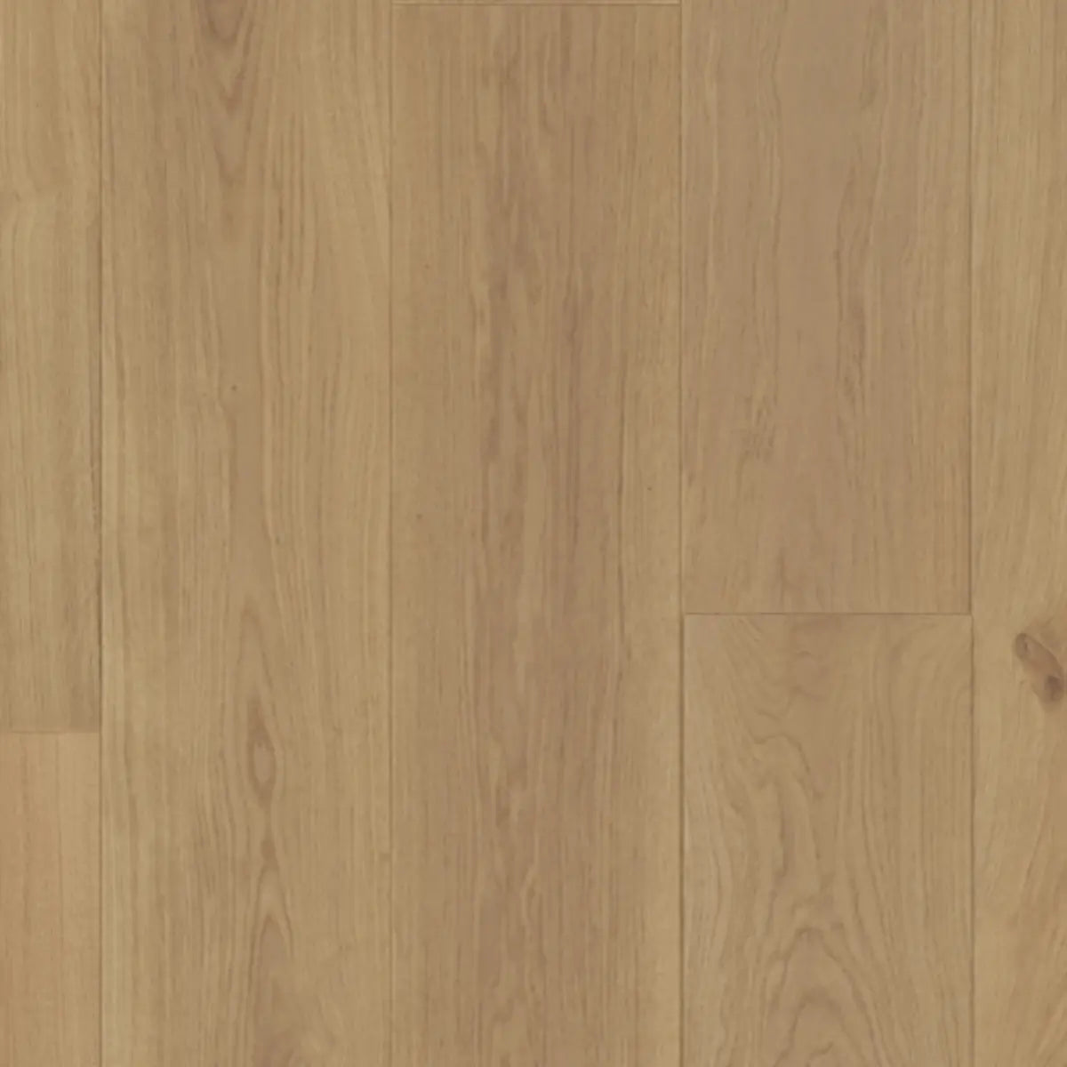 Impression of France 9 1/2" - Nice - Engineered Hardwood Compass Materials