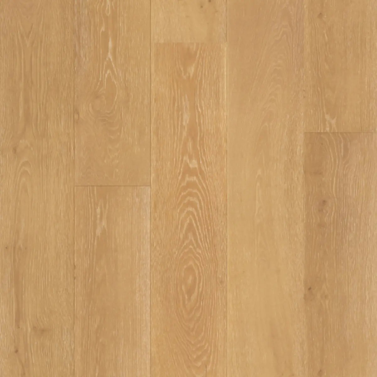 Impression of France 9 1/2" - Marseille - Engineered Hardwood Compass Materials