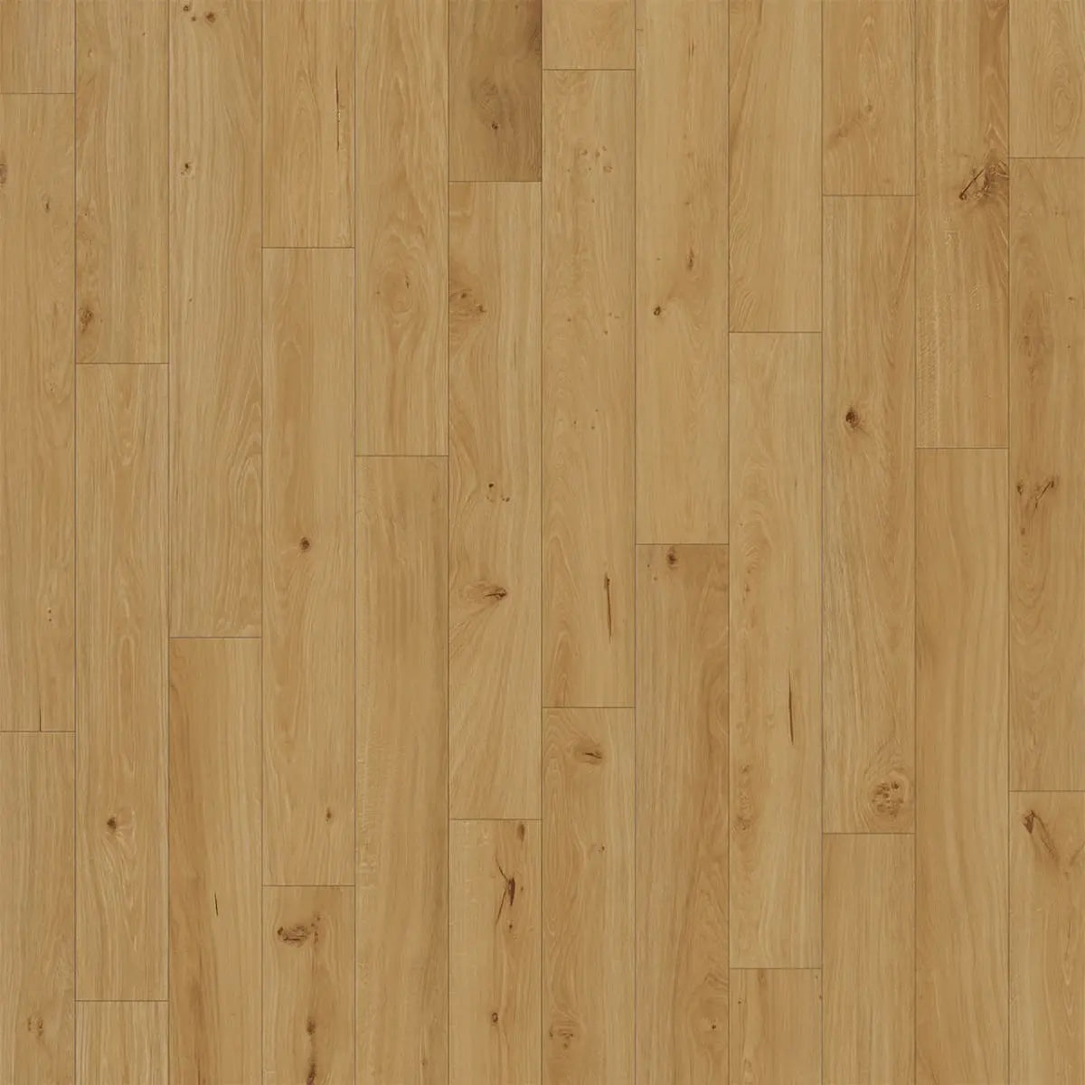 The Engineered Floors Divine - Enchant - Engineered Hardwood