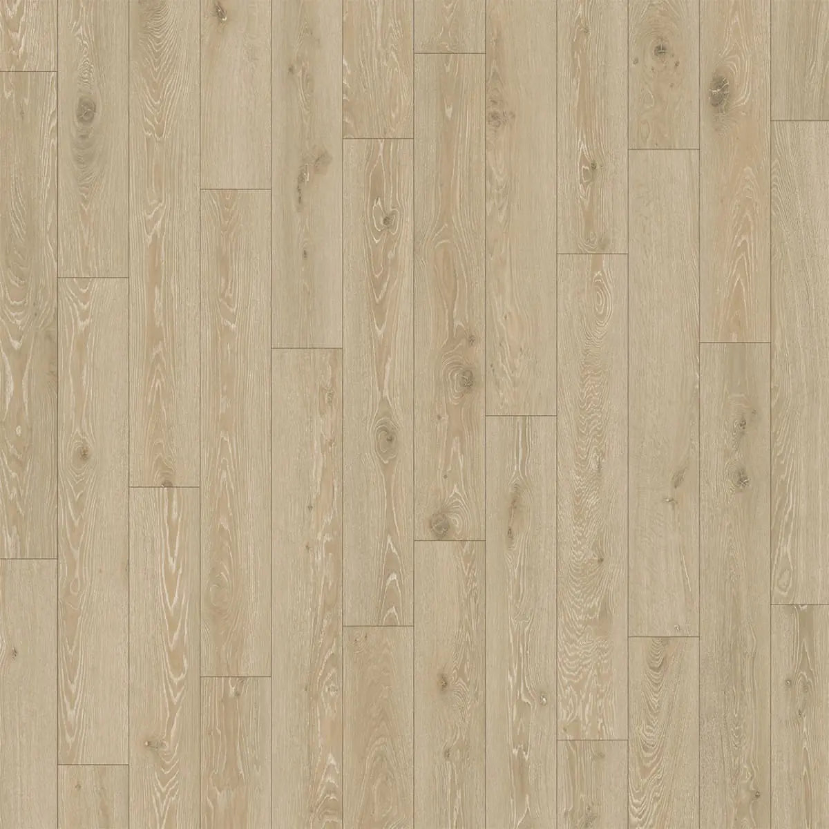 The Engineered Floors Divine - Cameo - Engineered Hardwood The Engineered Floors