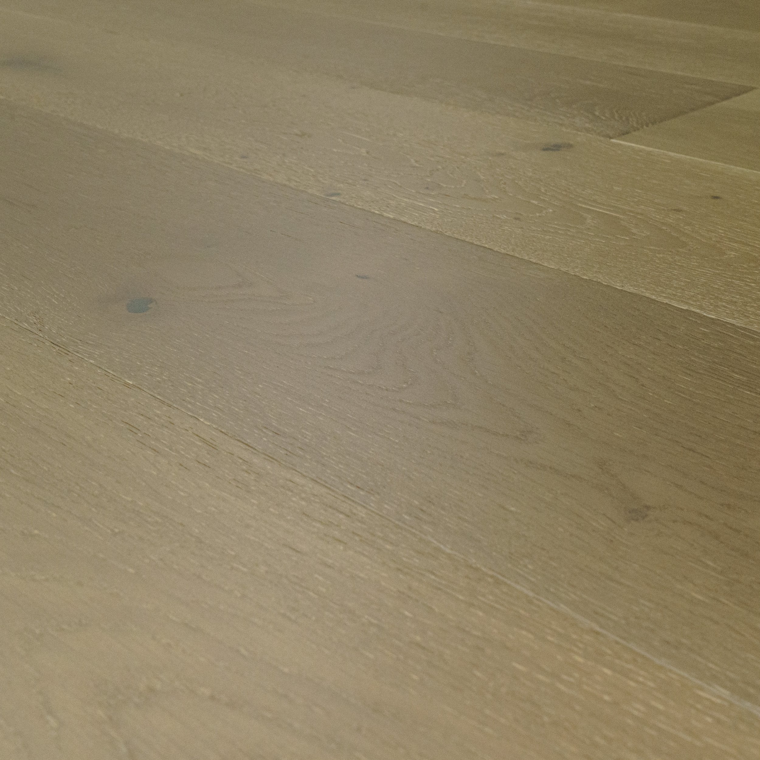 Euro Oak - W-02 - Engineered Hardwood