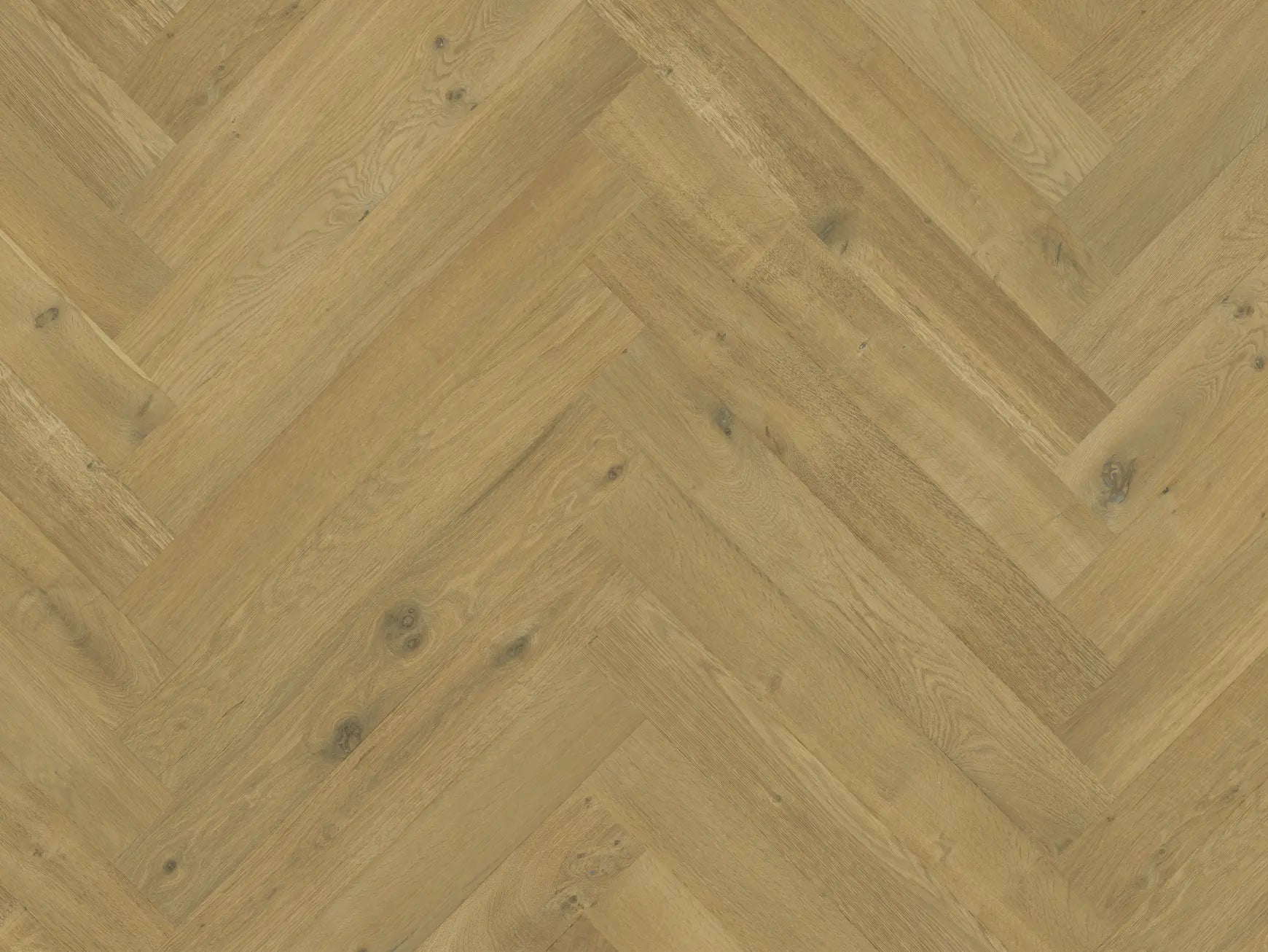 Domaine II - Verte - Engineered Hardwood Monarch Plank Hardwood Flooring