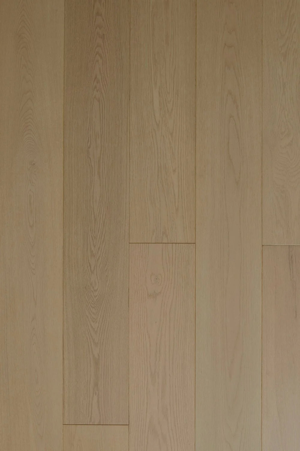 Casa Bianca European Oak - Emilia - Engineered Hardwood Villagio Floors