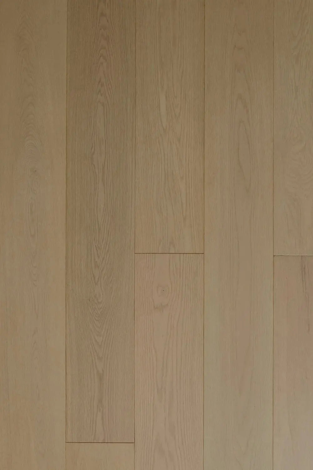 Casa Bianca European Oak - Emilia - Engineered Hardwood Villagio Floors