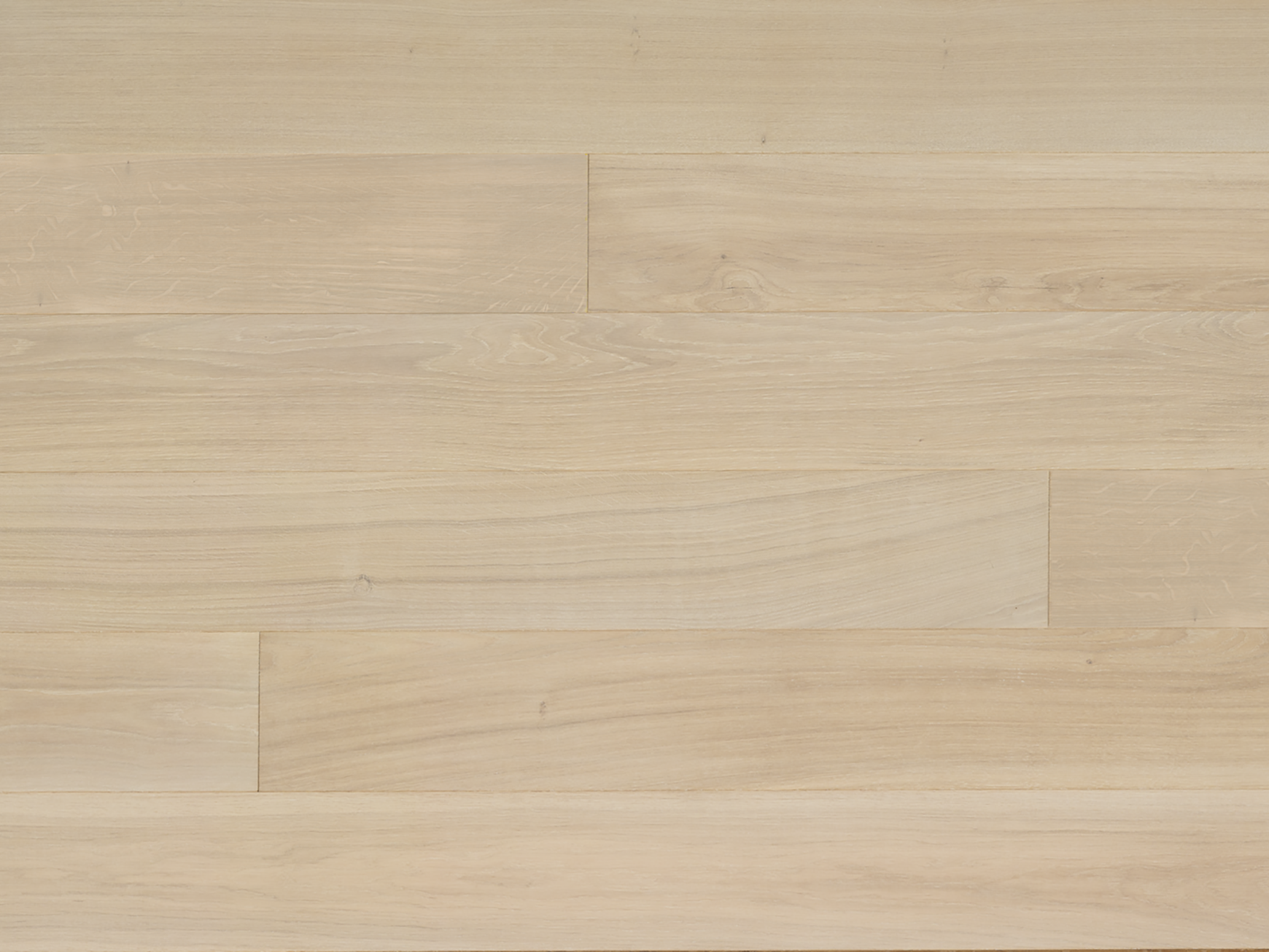 Forte - Bianco - Engineered Hardwood