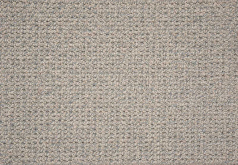 Hibernia - Freehold - Carpet