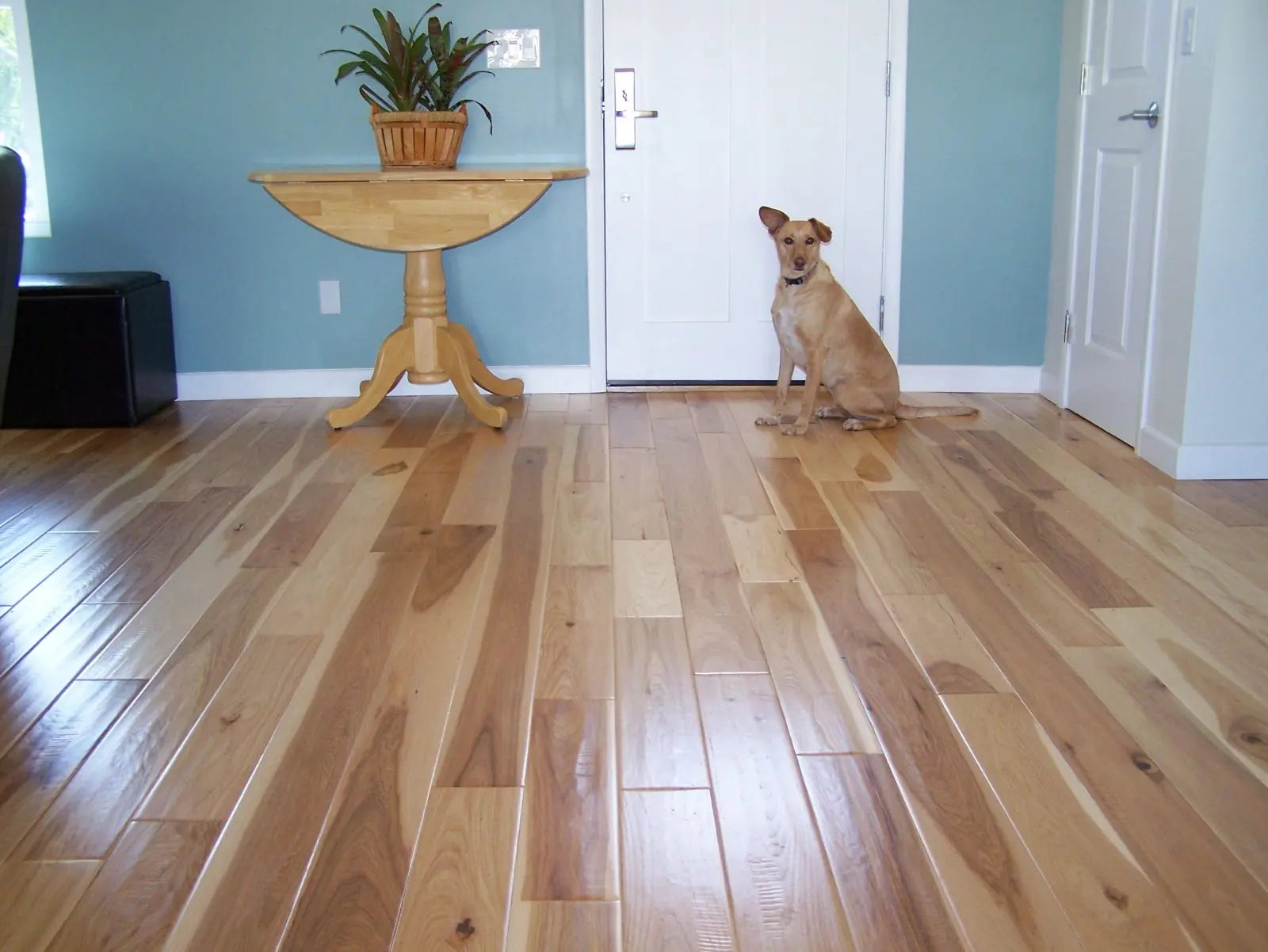 Garrison II Smooth - Hickory Natural - Engineered Hardwood Garrison