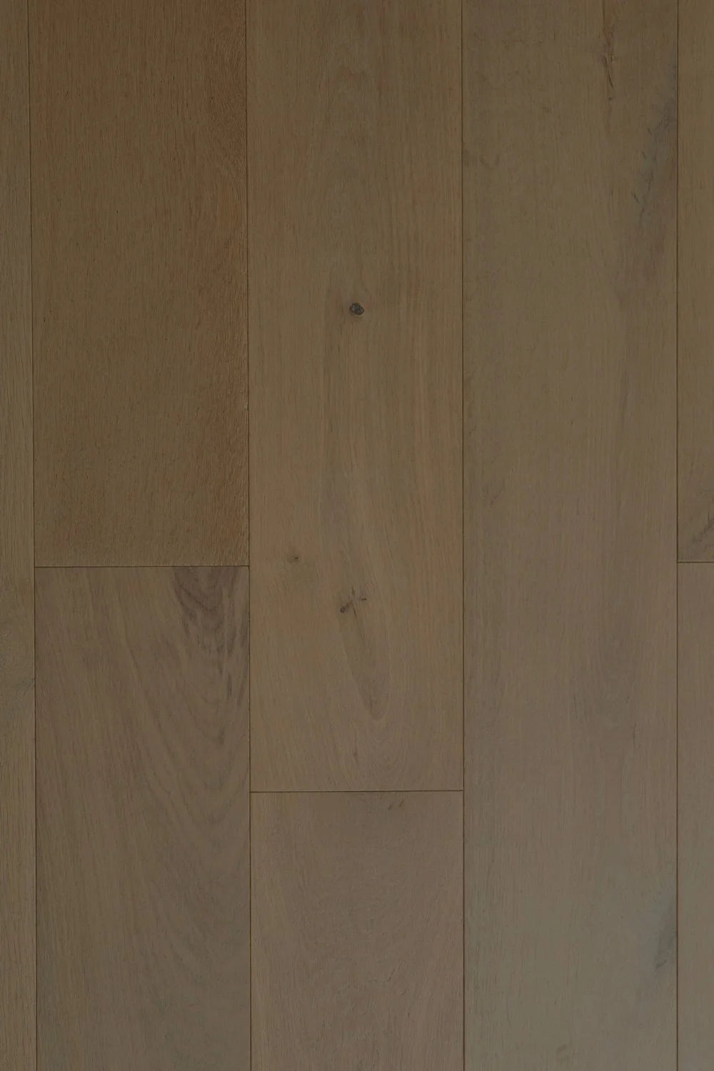 Abruzzo European Oak - Gandra - Engineered Hardwood Villagio Floors