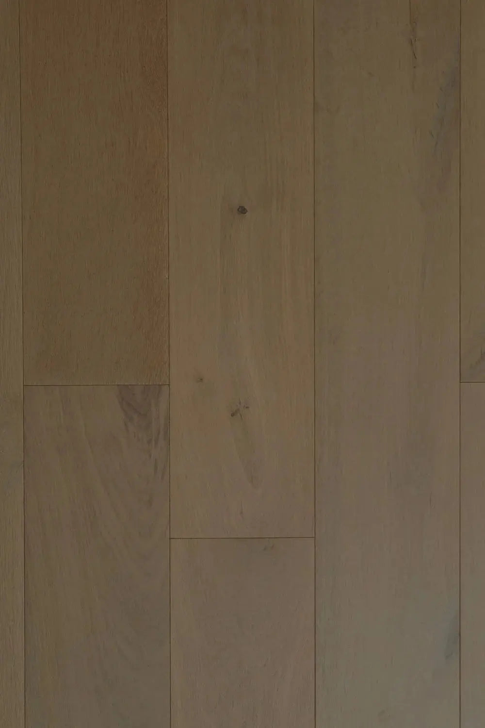 Abruzzo European Oak - Gandra - Engineered Hardwood Villagio Floors