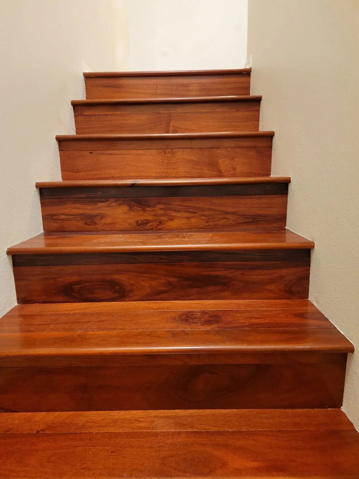 Exotics - Patagonian Rosewood 5" - Engineered Hardwood Garrison