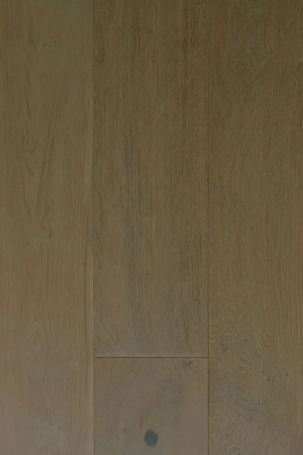 Abruzzo European Oak - Greco - Engineered Hardwood Villagio Floors