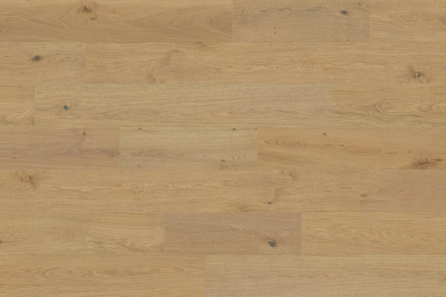 Valensole - Hampton - Engineered Hardwood