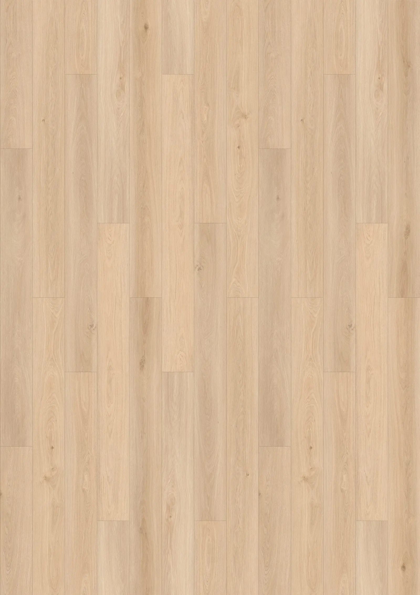 Huate - Laminate