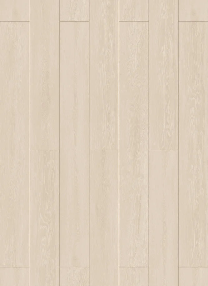 8.5mm Scratch Shield - Lake Allen - LVP