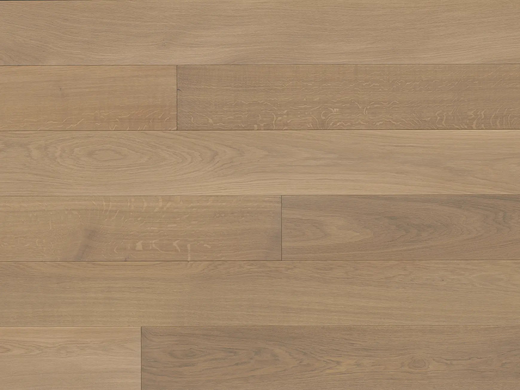 Forte - La Borra - Engineered Hardwood Monarch Plank Hardwood Flooring