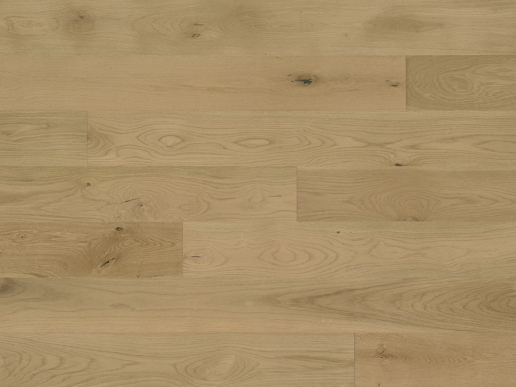 Lago - Belviso - Engineered Hardwood Monarch Plank Hardwood Flooring